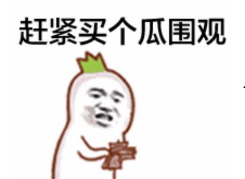 吃瓜群众百度百科视频,百度百科视频中的网络文化现象深度解析