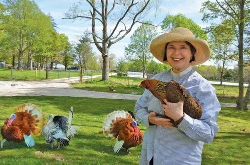 吃瓜娱乐酱顶流社