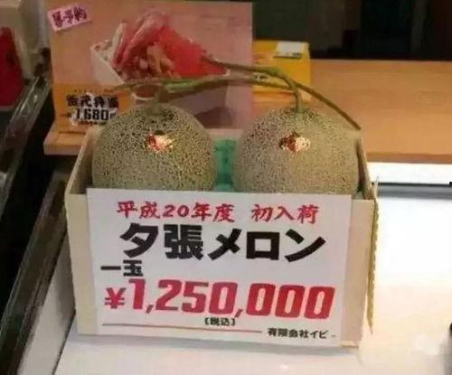 娱乐大爆料吃大瓜,明星幕后故事大曝光！