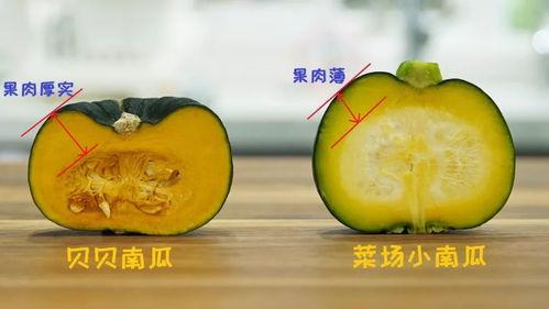 娱乐吃瓜小南瓜,南瓜带你领略娱乐圈的甜蜜与苦涩