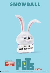 娱乐吃瓜小兔兔微博号,揭秘娱乐圈那些吃瓜趣事