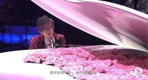 娱乐吃瓜天王与天后,天王天后联手演绎传奇佳话